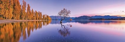 Puzzle Panorama 1000 pièces 2